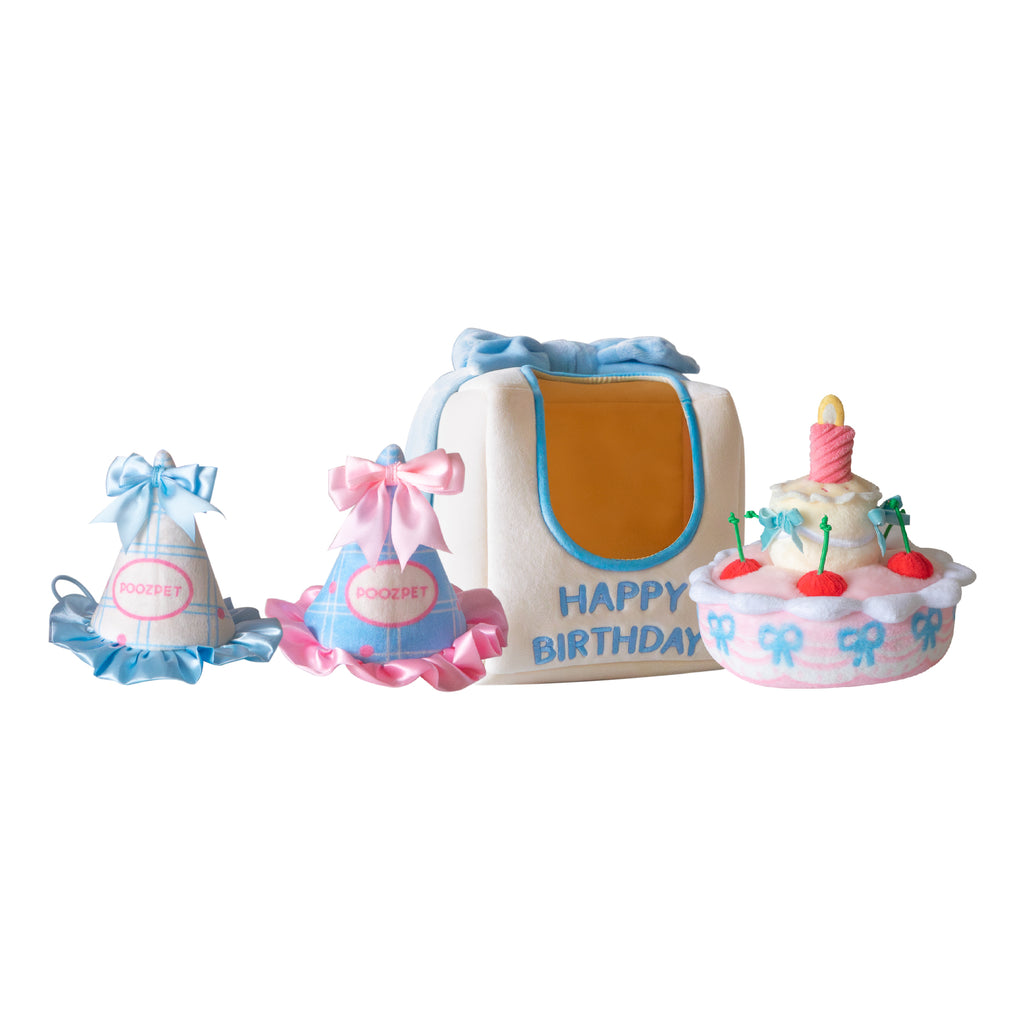 Birthday Cake Set
